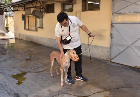 ドッグレース場に遺棄されたレース犬の健康状況を確認する市政署（当時名称：民政総署）の職員（資料）＝2018年7月（写真：IAM）